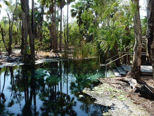 Bitter Springs